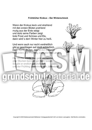 Frühblüher-Krokus-1.pdf